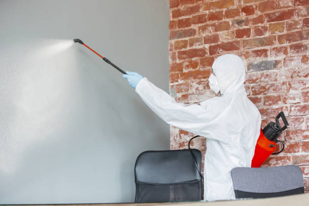Best Industrial Mold Remediation  in Toledo, OH