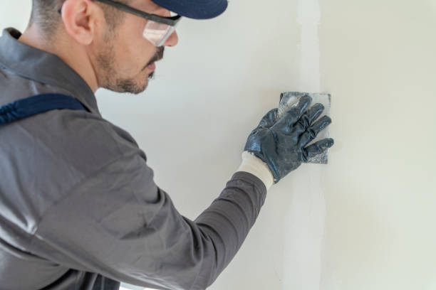 Best Mold-Related Health Consultation  in Toledo, OH