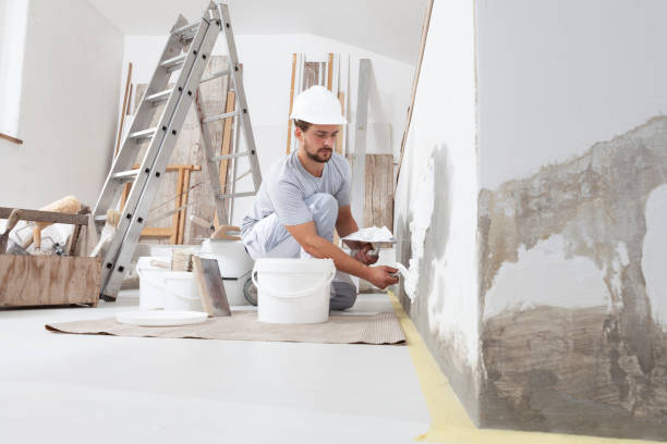 Best Mold Damage Restoration  in Toledo, OH