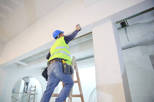 Best Mold Odor Removal Services  in Toledo, OH