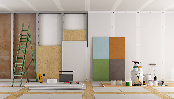 Best Black Mold Removal  in Toledo, OH